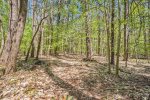 Beautiful wooded surround with trails to explore 